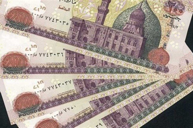 منحة العمالة غير المنتظمة
