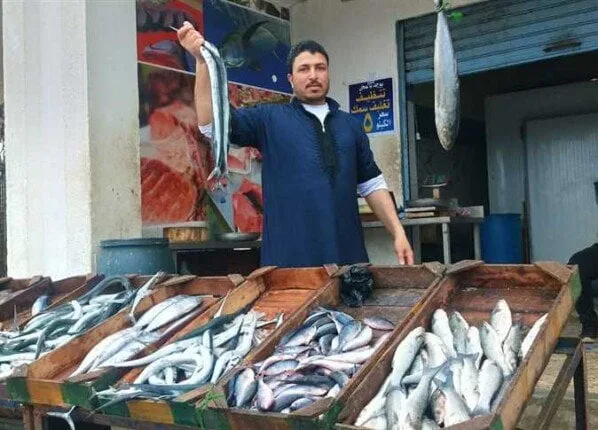 أسعار الأسماك للمستهلكين يوم الأحد 20 يوليو 2025