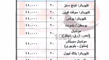 رسمياً.. أسعار السجائر الجديدة بعد الزيادة المقررة