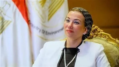 بعد تركها وزارة البيئة: من هي ياسمين فؤاد وما هي أهم محطاتها المحلية والدولية؟ بعد تركها وزارة البيئة: من هي ياسمين فؤاد وما هي أهم محطاتها المحلية والدولية؟