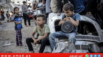 341 أكاديميًا إسرائيليًا يدعون إلى إيقاف هجمات على المدنيين في غزة