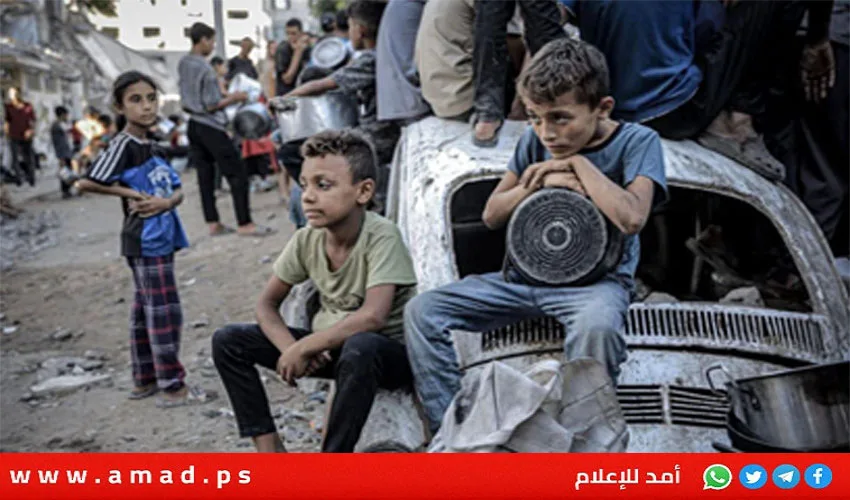 341 أكاديميًا إسرائيليًا يدعون إلى إيقاف هجمات على المدنيين في غزة 341 أكاديميًا إسرائيليًا يدعون إلى إيقاف هجمات على المدنيين في غزة