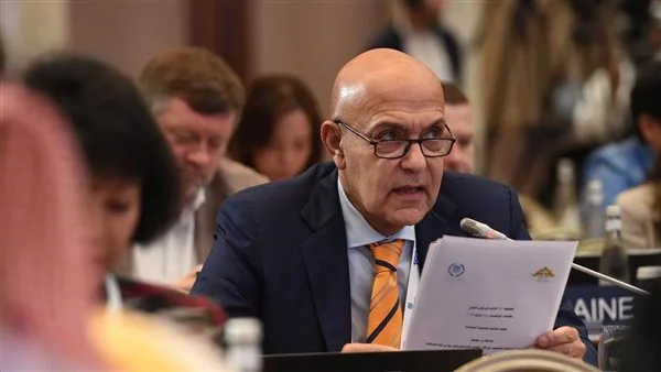 “صبور”: التعاون المصري السعودي أساس استقرار المنطقة “صبور”: التعاون المصري السعودي أساس استقرار المنطقة