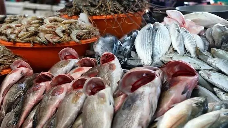 زيادة أسعار الجمبري والبوري: أسعار الأسماك والمأكولات البحرية في مصر اليوم، الأحد 20 يوليو 2025. زيادة أسعار الجمبري والبوري: أسعار الأسماك والمأكولات البحرية في مصر اليوم، الأحد 20 يوليو 2025.