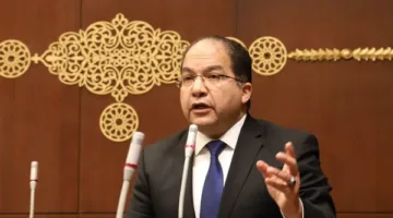 نائب برلماني: نقاط التفتيش الجمركي تعد ثروة كبيرة تدعم انتعاش الاقتصاد المصري