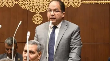 نائب: تحسين إدارة الجمارك وتخفيض وقت الإفراج الجمركي ضروري لتعزيز العائدات الاقتصادية