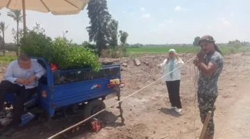 جهود كبيرة لتحسين كفاءة طريق كورنيش النيل في مدينة السرو
