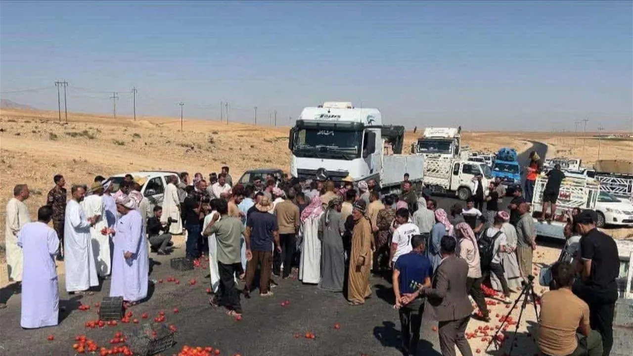 غضب الفلاحين غرب الموصل يدفعهم لرمي محاصيلهم في الشارع احتجاجاً على تراجع الأسعار