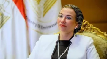 غادة ومشيرة وياسمين: وزراء استقالوا من مناصبهم لتولي مهام دولية