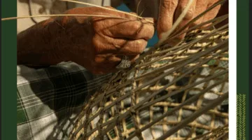 سعف النخيل… كنز يُشكل بروح التراث