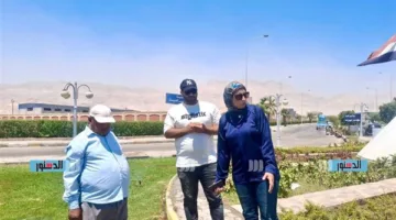 “السويس الجديدة”: أهمية المساحات الخضراء لضمان التوازن البيئي في المنطقة الصناعية