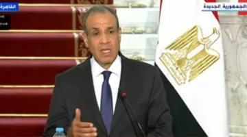 وزير الخارجية: مساعي مصرية حقيقية لتحقيق وقف فوري لإطلاق النار في غزة