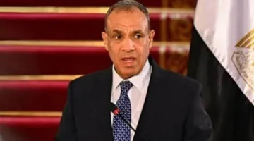 وزير الخارجية: نسعى لتعزيز التعاون الاستراتيجي مع ألمانيا