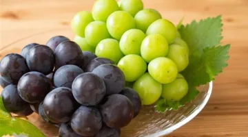 إرشادات زراعية لمزارعي العنب في المحافظات