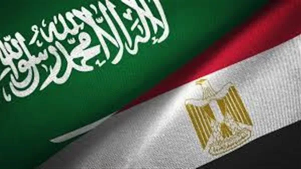 عضو في الجمعية السعودية للاقتصاد: مجلس التنسيق يساهم في تعزيز التجارة والاستثمار مع مصر عضو في الجمعية السعودية للاقتصاد: مجلس التنسيق يساهم في تعزيز التجارة والاستثمار مع مصر