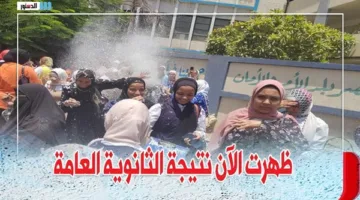 رابط الاستعلام عن نتيجة الصف الثالث الثانوي العام 2025 باستخدام رقم الجلوس فقط عبر موقع الدستور
