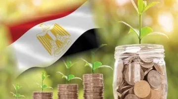 نائب برلماني: مصر تؤهّل لاستقطاب استثمارات كبيرة من السوق الأمريكية في الفترة القادمة