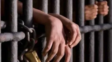 300 كيلو من المخدرات وأسلحة نارية.. السجن المؤبد لتجار الكيف في شبراخيت بالبحيرة