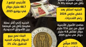 الجنيه يعود لمجده.. هل سيكون 2025 سنة الاستعادة؟ | إنفوجراف