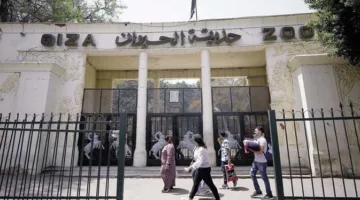 هل ستصبح 400 جنيه؟.. تكلفة تذكرة دخول حديقة الحيوان بالجيزة بعد تحسينات التجديد.