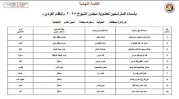 19 مرشحًا مستقلًا في المنوفية.. اكتشف عدد المتنافسين في انتخابات مجلس الشيوخ 2025