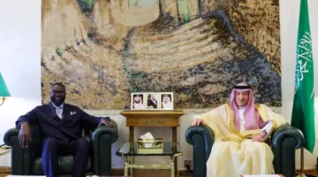الخريجي يتباحث مع مامادو سو حول طرق تعزيز الشراكة.