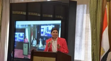 أمل سلامة: تصفية جماعة “حسم” تدل على استعداد الشرطة.. وأمن مصر خط أحمر لا يُمسّ.