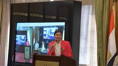 أمل سلامة: تصفية جماعة “حسم” تدل على استعداد الشرطة.. وأمن مصر خط أحمر لا يُمسّ. أمل سلامة: تصفية جماعة “حسم” تدل على استعداد الشرطة.. وأمن مصر خط أحمر لا يُمسّ.