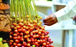 «مؤشرات الأمل» تعود إلى أروقة متحف الشندغة