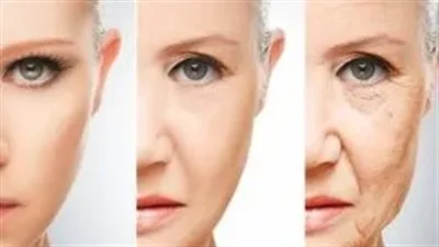 ثلاث مواد غذائية تساهم في تأجيل الشيخوخة.. ما هي آراء العلم حول تأثيرها على الخلايا؟ ثلاث مواد غذائية تساهم في تأجيل الشيخوخة.. ما هي آراء العلم حول تأثيرها على الخلايا؟