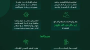 القطاع الخاص يتيح خدماته الرقمية من خلال منصة واحدة