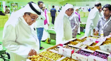 افتتاح مهرجان المحلي للرطب يوم الخميس