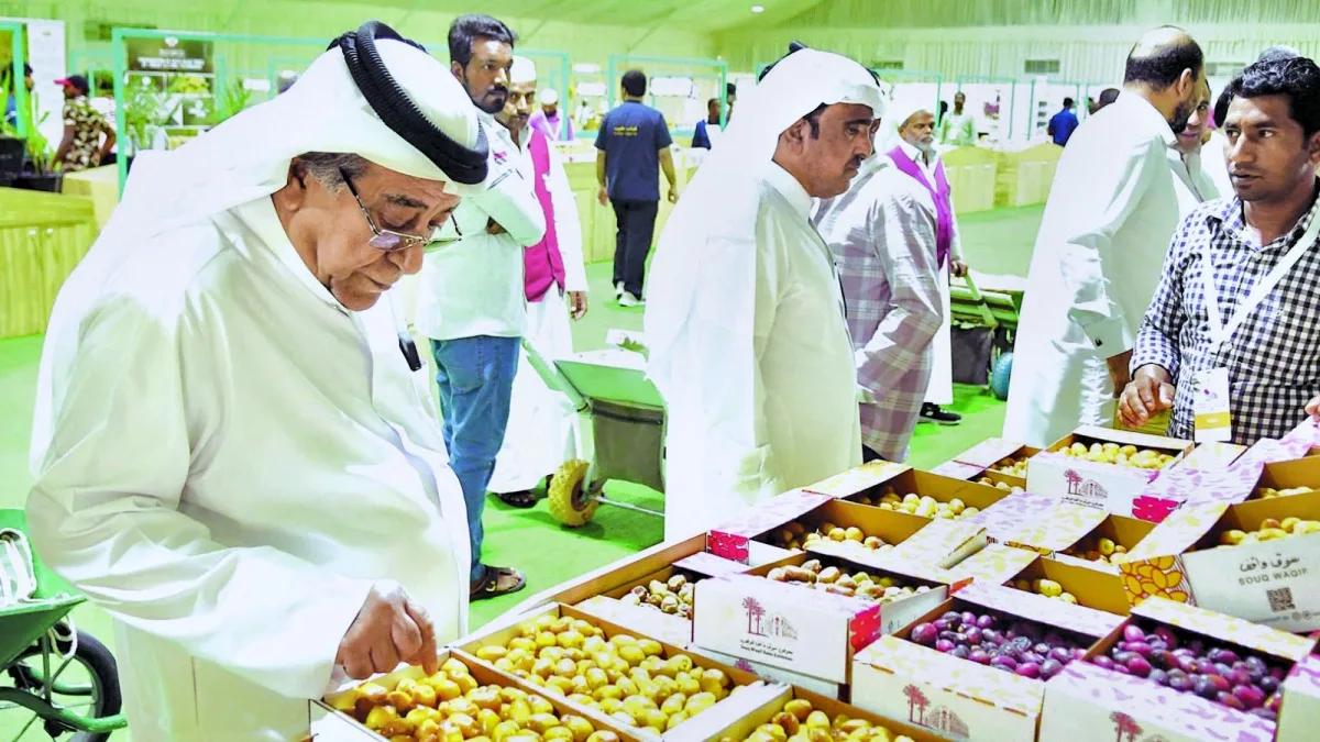 افتتاح مهرجان المحلي للرطب يوم الخميس افتتاح مهرجان المحلي للرطب يوم الخميس