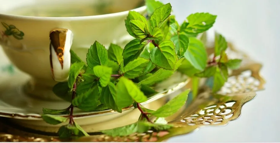 يقلل من ضغط الدم ويدعم صحة الدماغ.. مشروب صحي بدون كافيين.