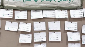 باسقات: برنامج صيفي يعزز الهوية الإسلامية للنساء الشابات
