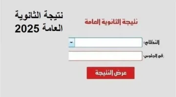 نتيجة الثانوية العامة 2025 الدور الأول متاحة برقم الجلوس عبر الرابط