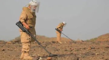 “مسام” تواصل جهودها لتطهير اليمن من الألغام وتنزع 971 لغمًا في أسبوع واحد