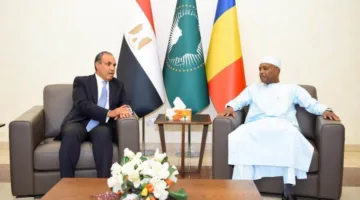 وزير الخارجية: الحكومة المصرية تعزز جهود دعم مشاريع التنمية في تشاد