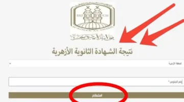 نتائج الطلاب للصف الثالث الثانوي الأزهري 2025 متاحة عبر بوابة الأزهر.. تحقق الآن