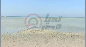 ظاهرة المد والجزر تؤدي إلى انخفاض مستوى مياه البحر في الغردقة