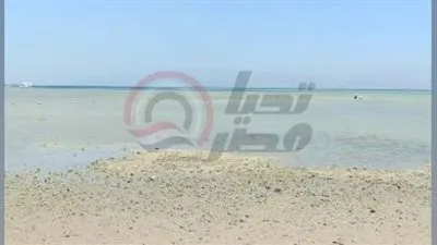 ظاهرة المد والجزر تؤدي إلى انخفاض مستوى مياه البحر في الغردقة ظاهرة المد والجزر تؤدي إلى انخفاض مستوى مياه البحر في الغردقة