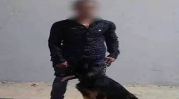 تحقيق في تفاصيل تداول فيديو يظهر شخصًا يقود كلبًا ويقوم بأعمال بلطجة في الإسماعيلية