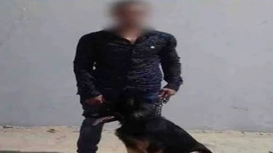 تحقيق في تفاصيل تداول فيديو يظهر شخصًا يقود كلبًا ويقوم بأعمال بلطجة في الإسماعيلية تحقيق في تفاصيل تداول فيديو يظهر شخصًا يقود كلبًا ويقوم بأعمال بلطجة في الإسماعيلية