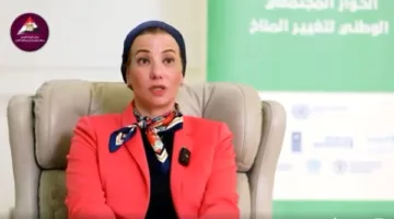 ياسمين فؤاد تُعلن عن تفاصيل وظيفتها الجديدة في الأمم المتحدة