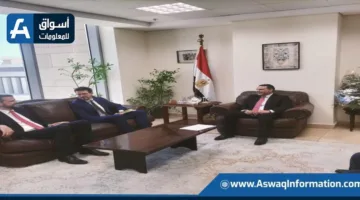 مصر وألمانيا تبحثان التحضيرات للدورة السابعة للجنة الاقتصادية في نهاية هذا العام.