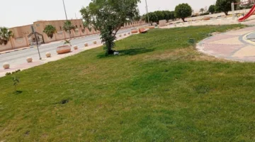 بلدية القليب تطلق مشروعًا لتحسين المساحات الخضراء وتزيين المدينة