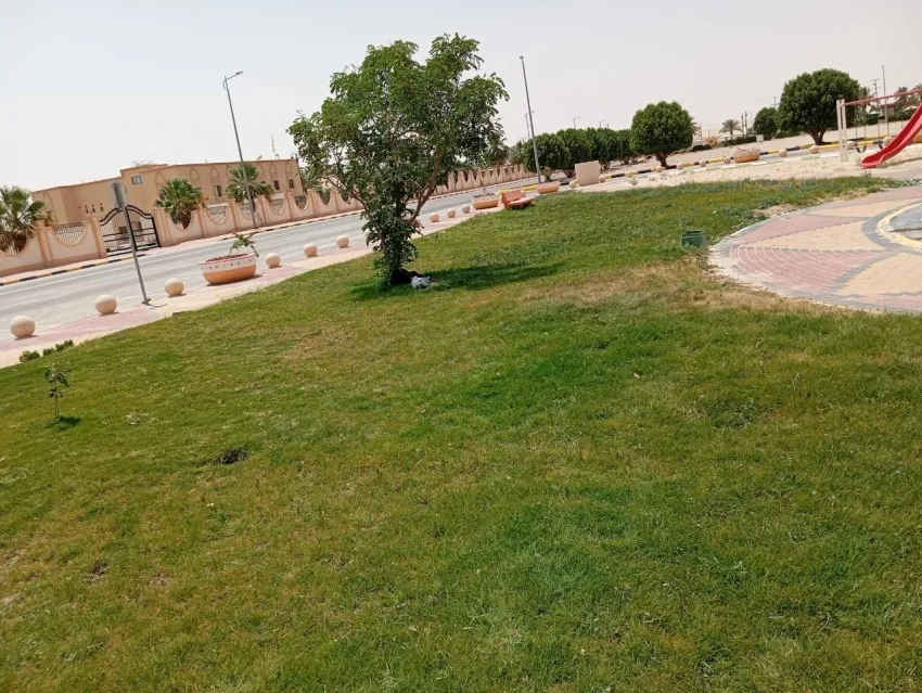 بلدية القليب تطلق مشروعًا لتحسين المساحات الخضراء وتزيين المدينة بلدية القليب تطلق مشروعًا لتحسين المساحات الخضراء وتزيين المدينة