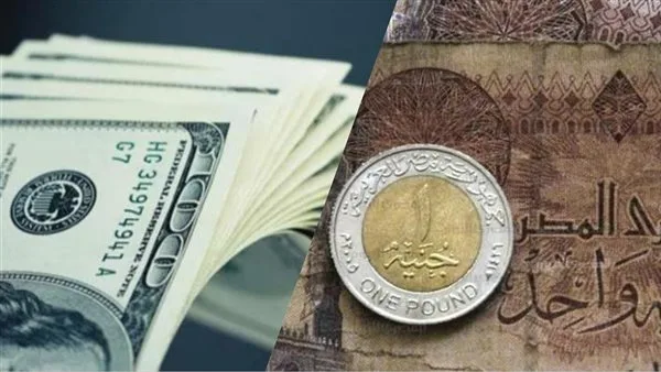 مؤشر بيج ماك: السعر العادل للجنيه المصري مقابل الدولار هو 20.8 مؤشر بيج ماك: السعر العادل للجنيه المصري مقابل الدولار هو 20.8