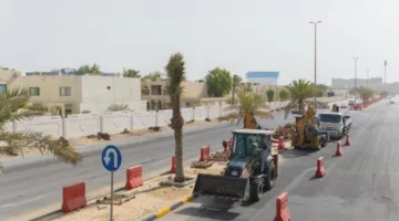 بلدية الخبر تحل شجرة النخيل بعشرة آلاف شجرة ظل في المرحلة الأولى