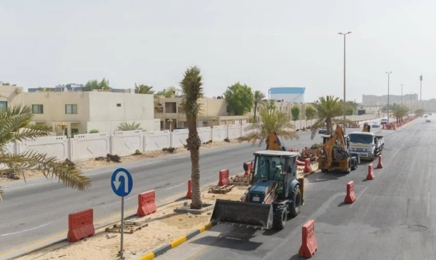بلدية الخبر تحل شجرة النخيل بعشرة آلاف شجرة ظل في المرحلة الأولى